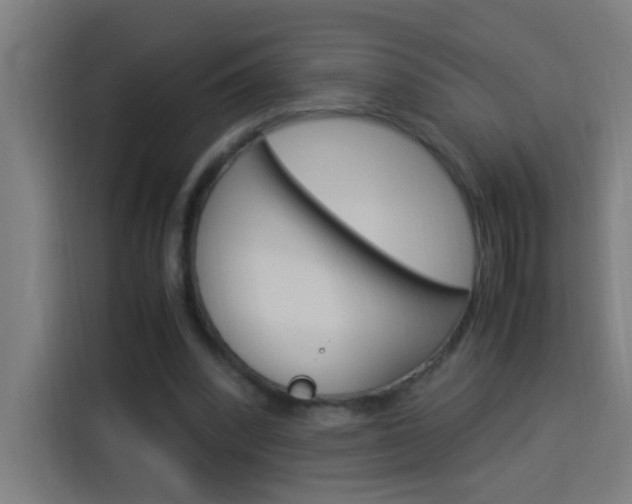 X0000114170392200910081117