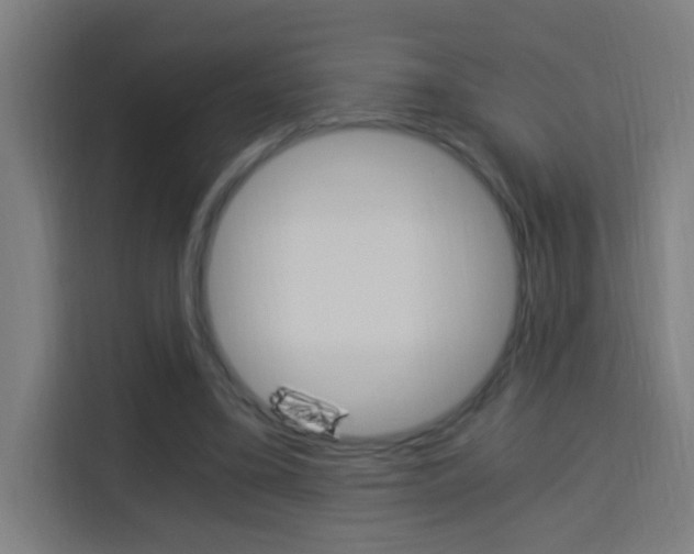 X0000114170395200910081117