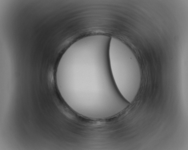 X0000114170398200910081117