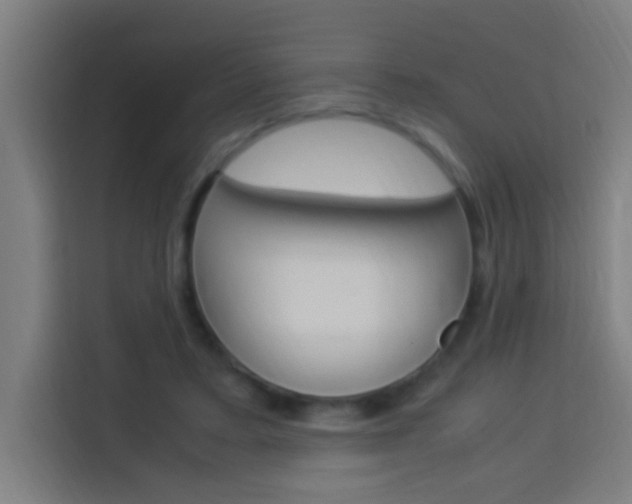 X0000114170403200910081117