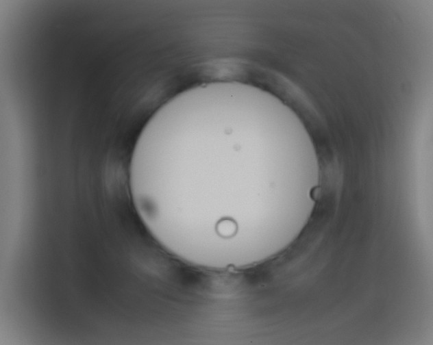 X0000114170415200910081117