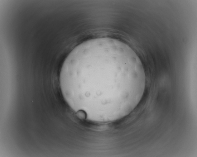 X0000114170418200910081117