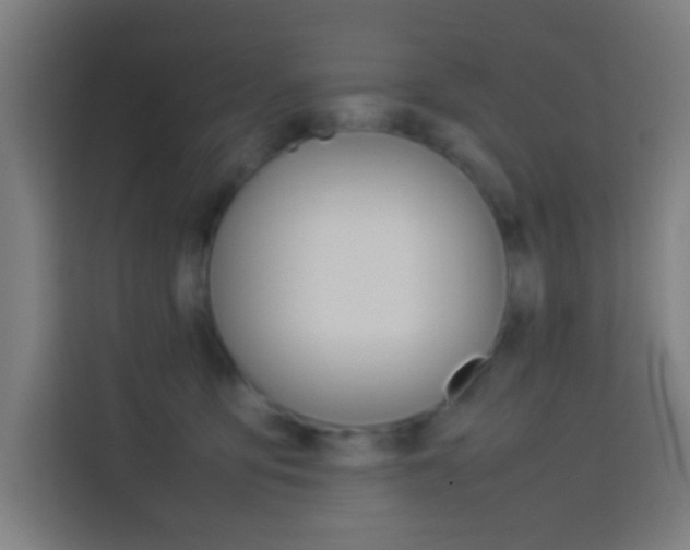X0000114170419200910081117