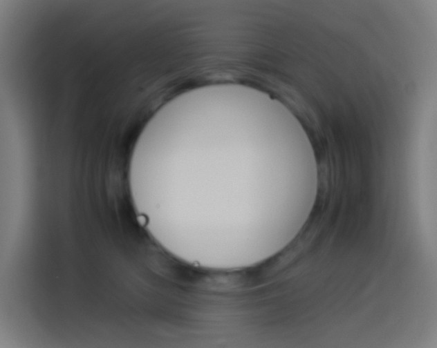 X0000114170422200910081117