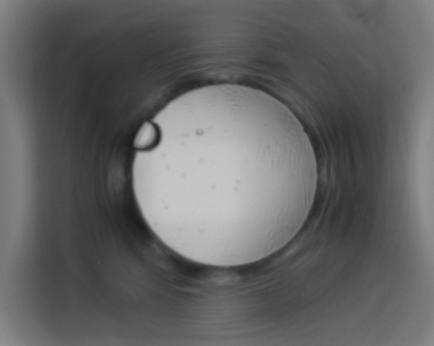 X0000114170424200910081117