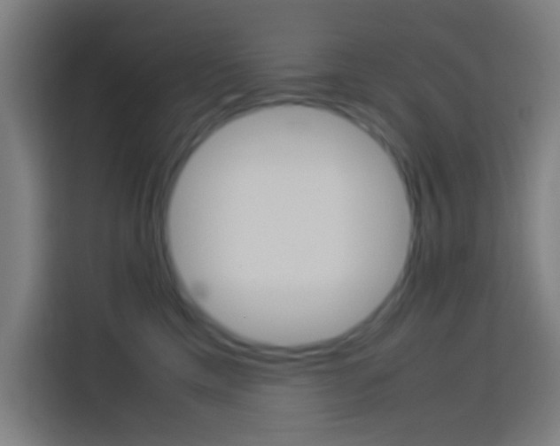 X0000114170425200910081117