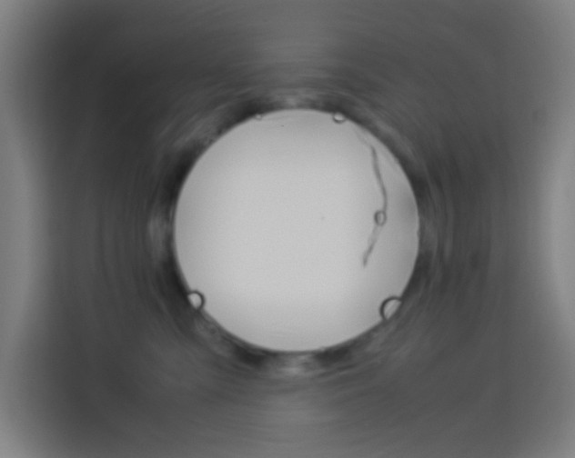 X0000114170427200910081117