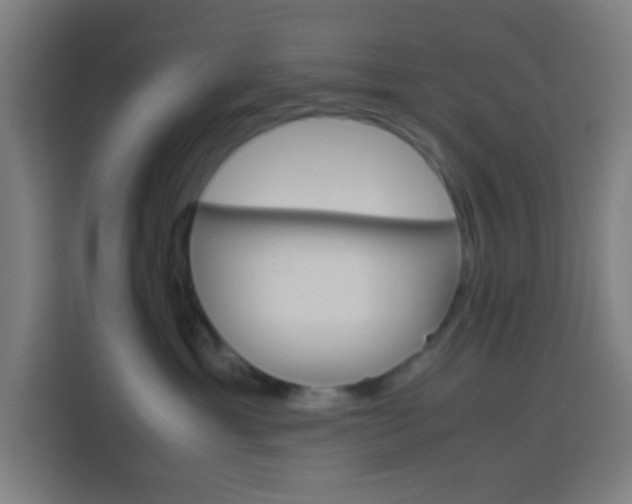 X0000114170429200910081117