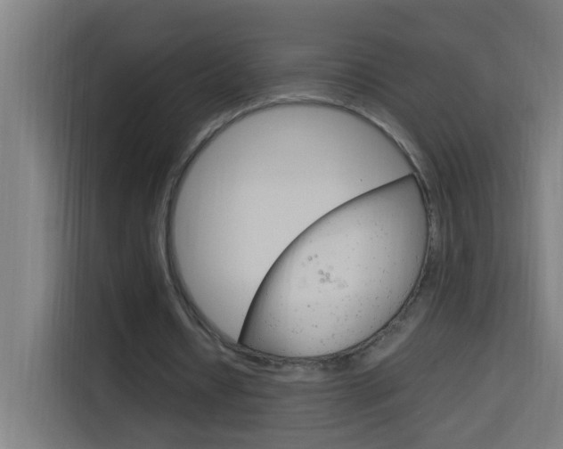 X0000114170434200910081116