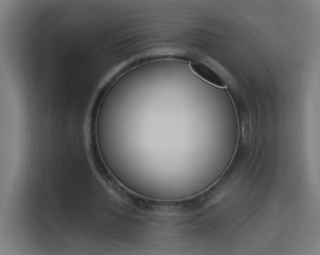 X0000114170436200910081116