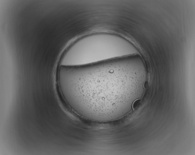 X0000114170438200910081116