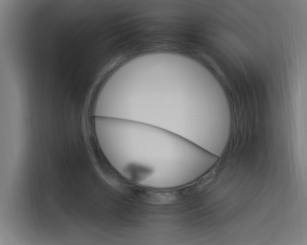 X0000114170443200910081116