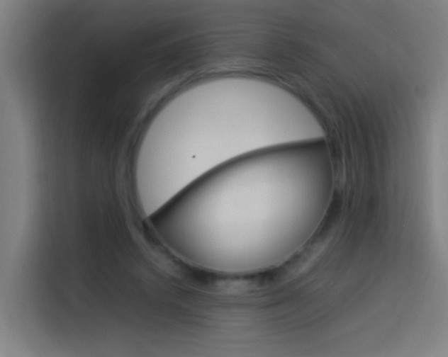 X0000114170448200910081116