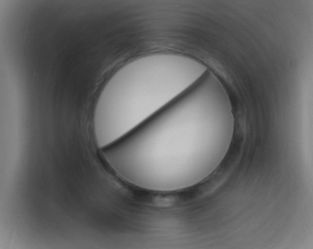 X0000114170450200910081116