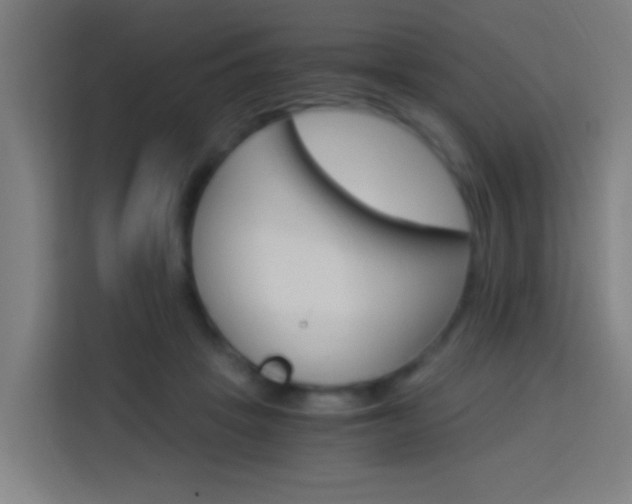 X0000114170457200910081117