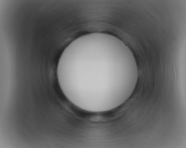 X0000114170460200910081117