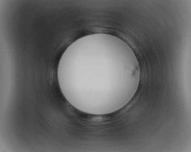 X0000114170473200910081117