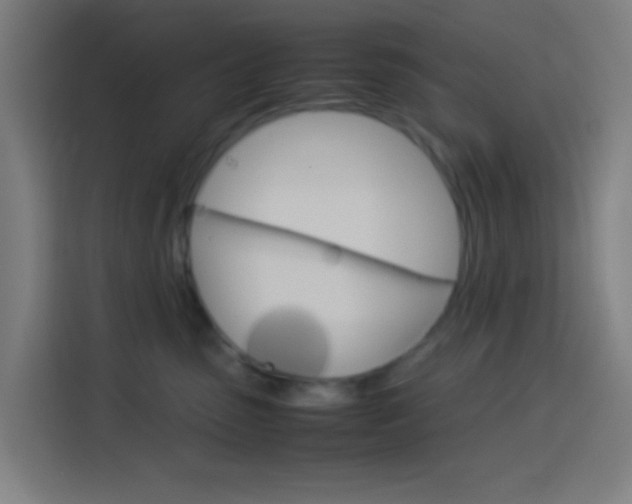 X0000114170475200910081117