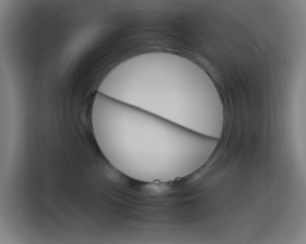 X0000114170477200910081117