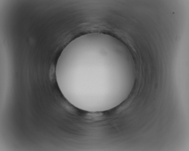 X0000114170480200910081117