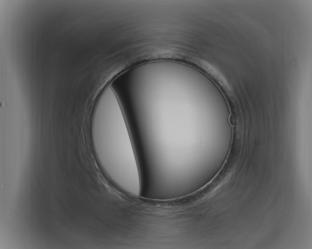 X0000114170481200910081116