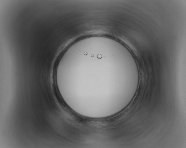 X0000114170486200910081116