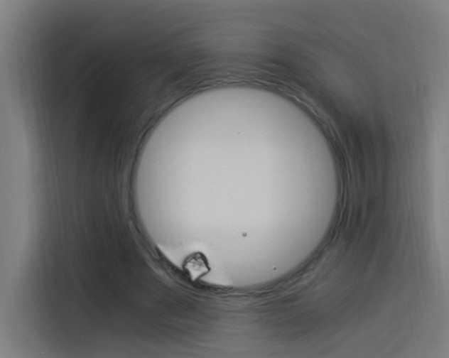 X0000114170489200910081116