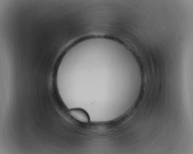 X0000114170492200910081116