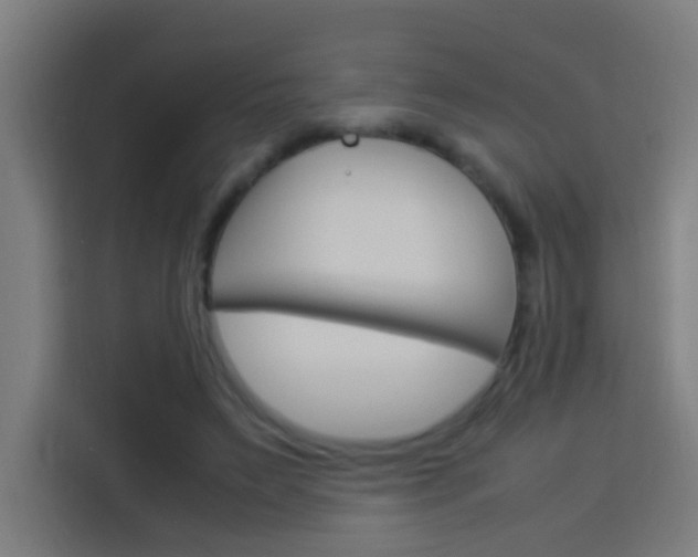 X0000114170495200910081116