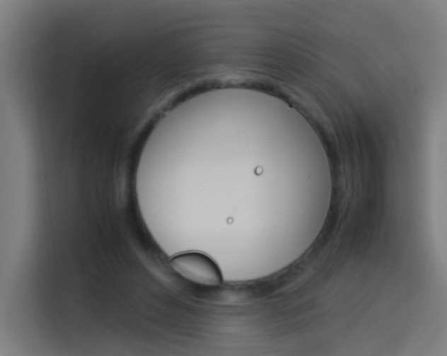 X0000114170496200910081116
