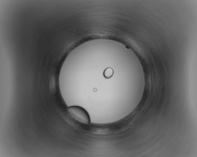 X0000114170500200910081116