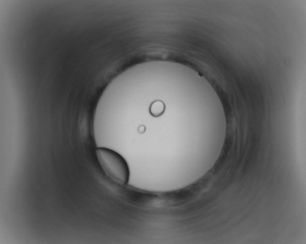 X0000114170504200910081116
