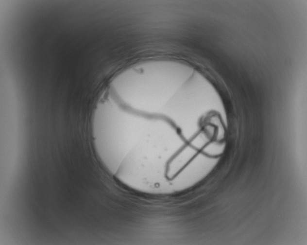 X0000114170505200910081116