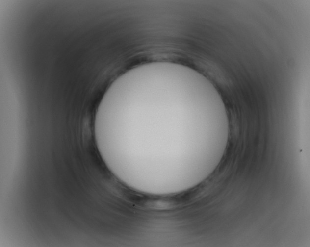 X0000114170506200910081116