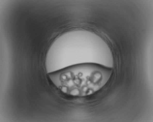 X0000114170513200910081116