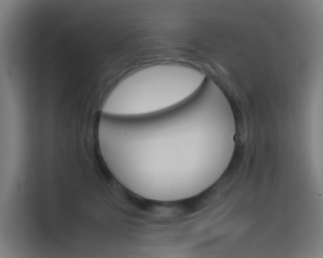X0000114170515200910081116