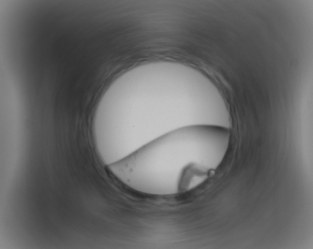 X0000114170517200910081116