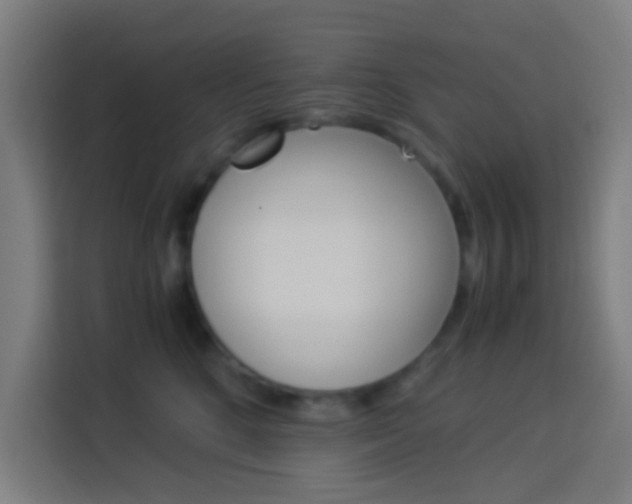 X0000114170520200910081116