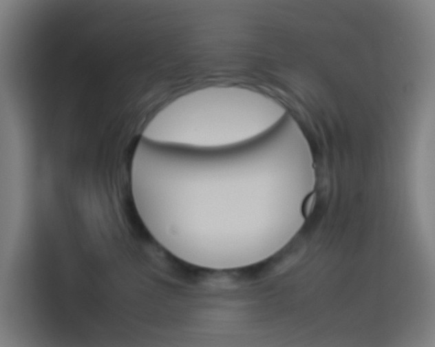 X0000114170523200910081116