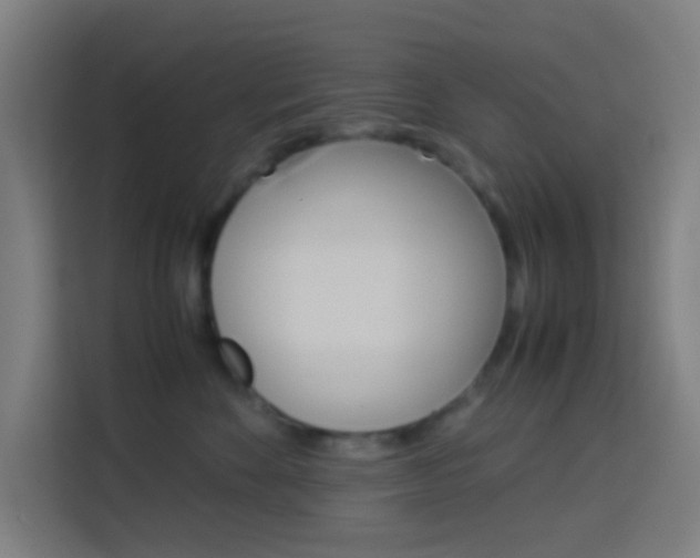 X0000114170524200910081116