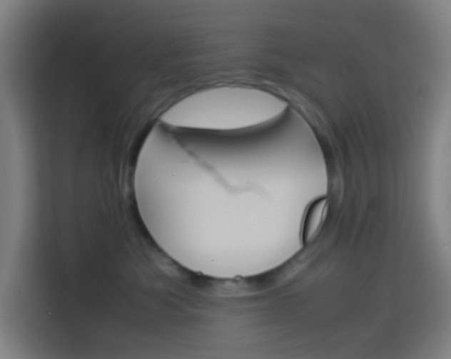 X0000114170525200910081116