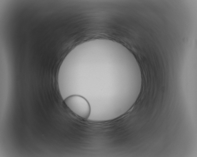 X0000114170528200910081116