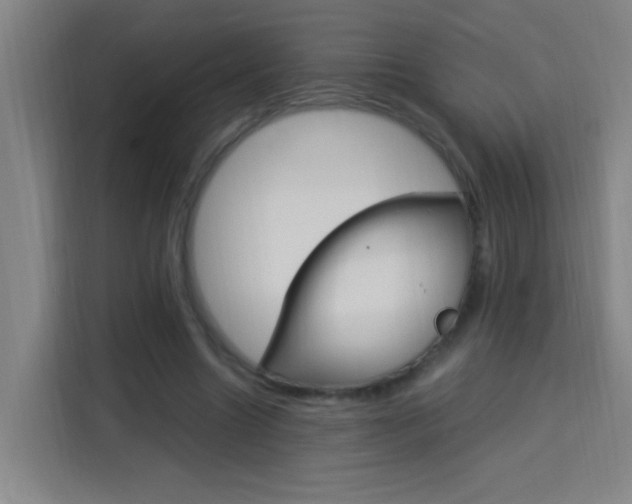 X0000114170538200910081115