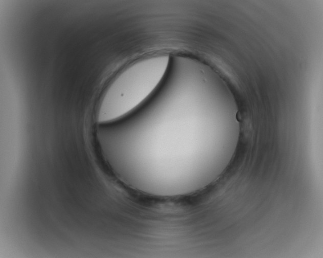 X0000114170544200910081115
