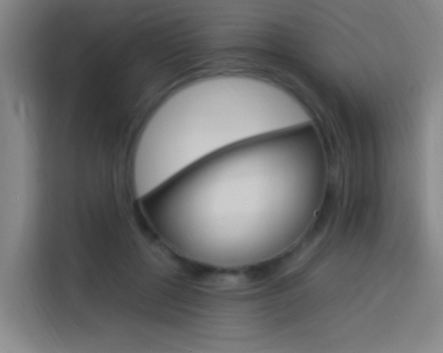 X0000114170552200910081115