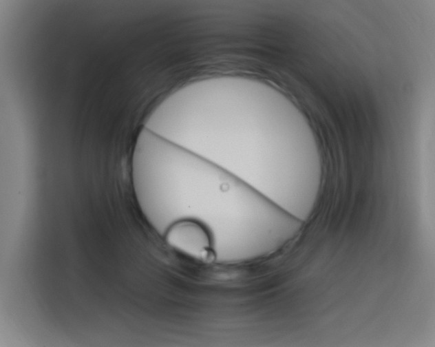 X0000114170555200910081115