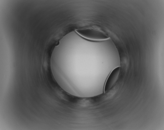 X0000114170566200910081115