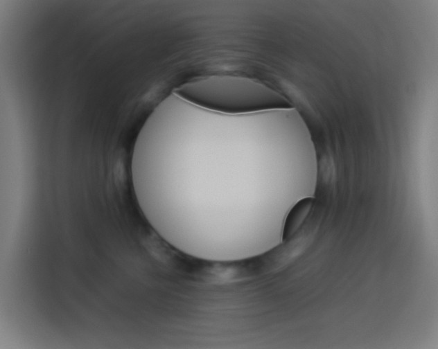 X0000114170570200910081116