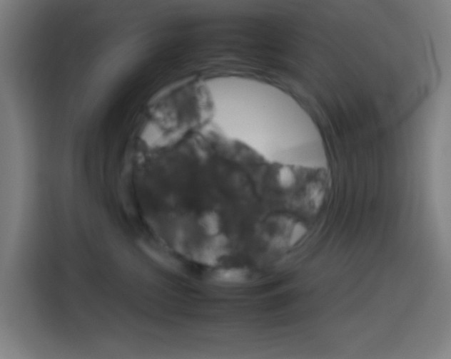 X0000114170573200910081116
