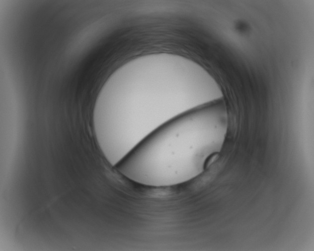 X0000114170574200910081116